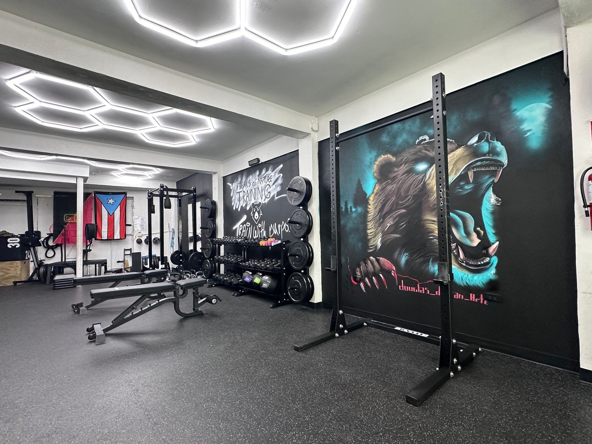 Gym interior with wall art of a roaring bear, weight racks, and Puerto Rican flag.